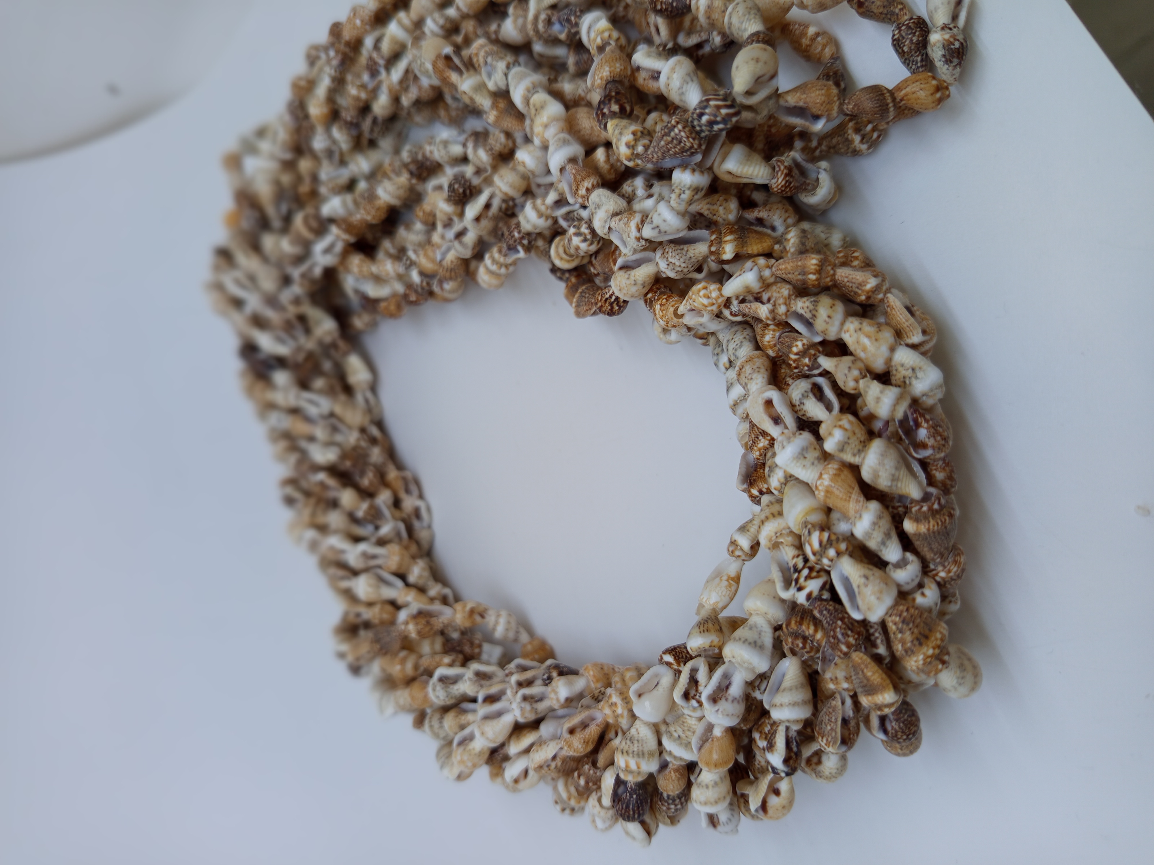 صدف مخروطی ریز قهوه ای(حلزون)طبیعی